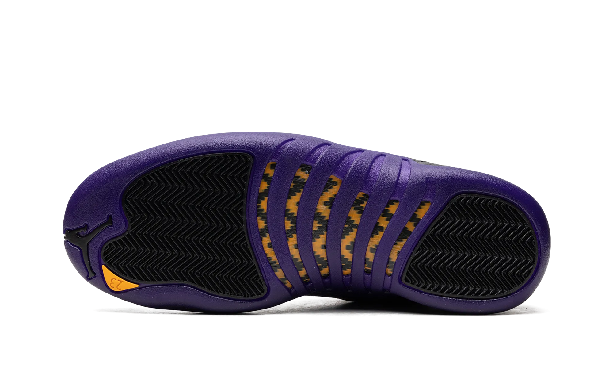 Silver Sneakers Classes Air Jordan 12 "Field Purple"