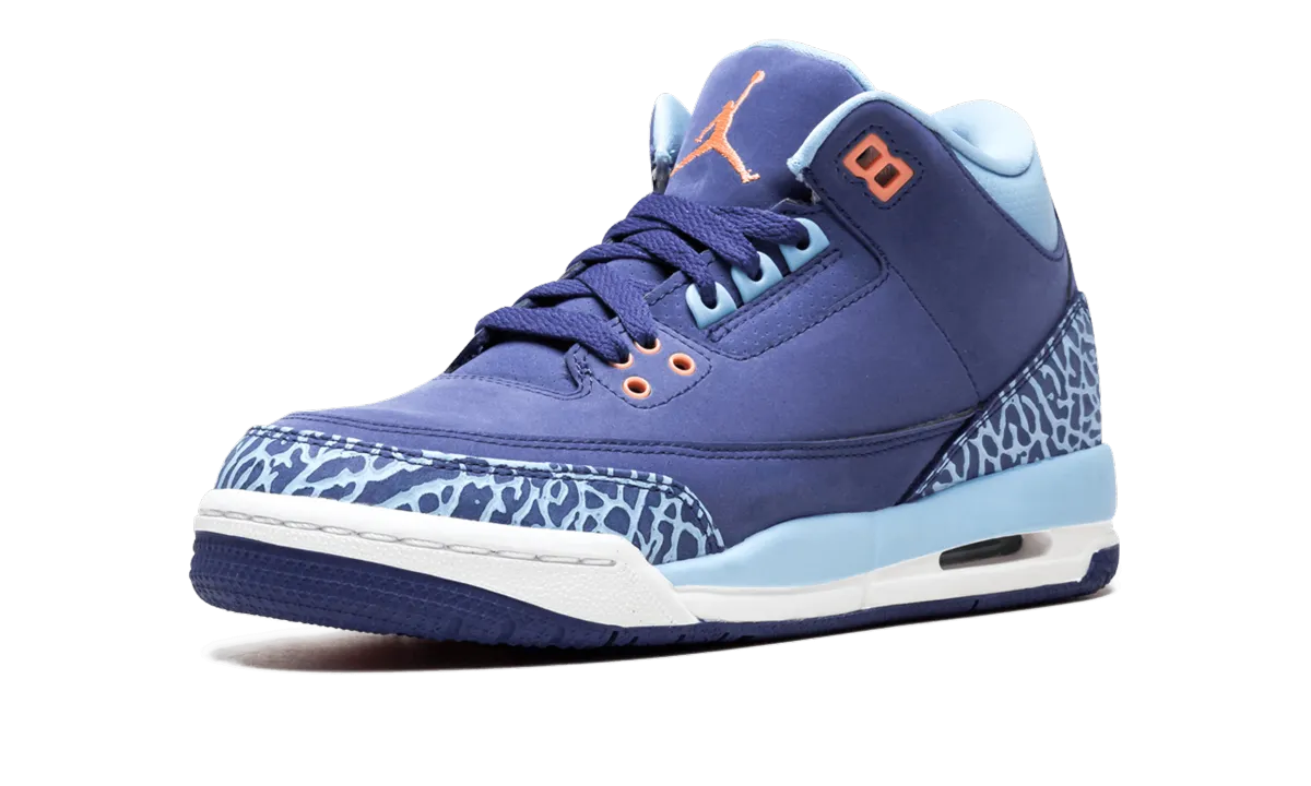 Sole Protector Sneakers Air Jordan 3 Retro GS "Purple Dust"