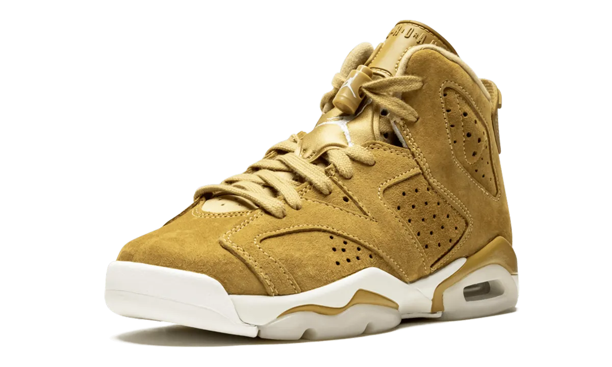 Sneakers Clip Art Air Jordan 6 Retro GS "Wheat"