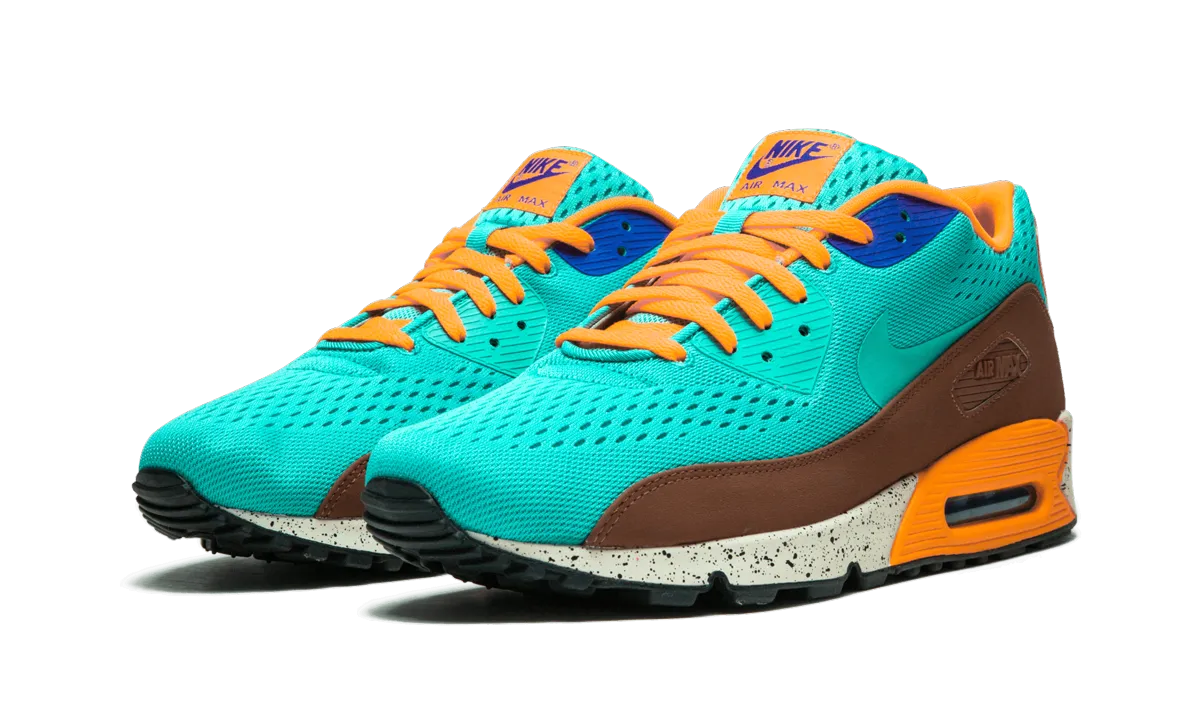 Nike Air Max Running Shoes Air Max 90 EM