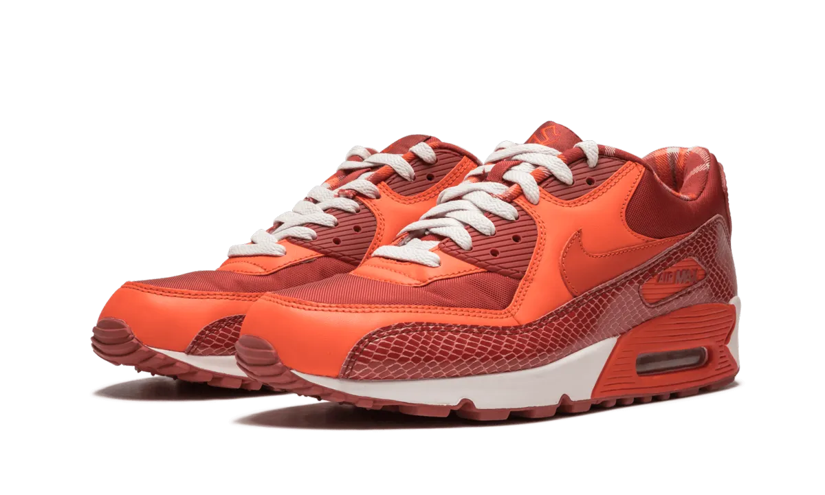 Nike Low Cut Shoes Air Max 90 QK "STEVE NASH"