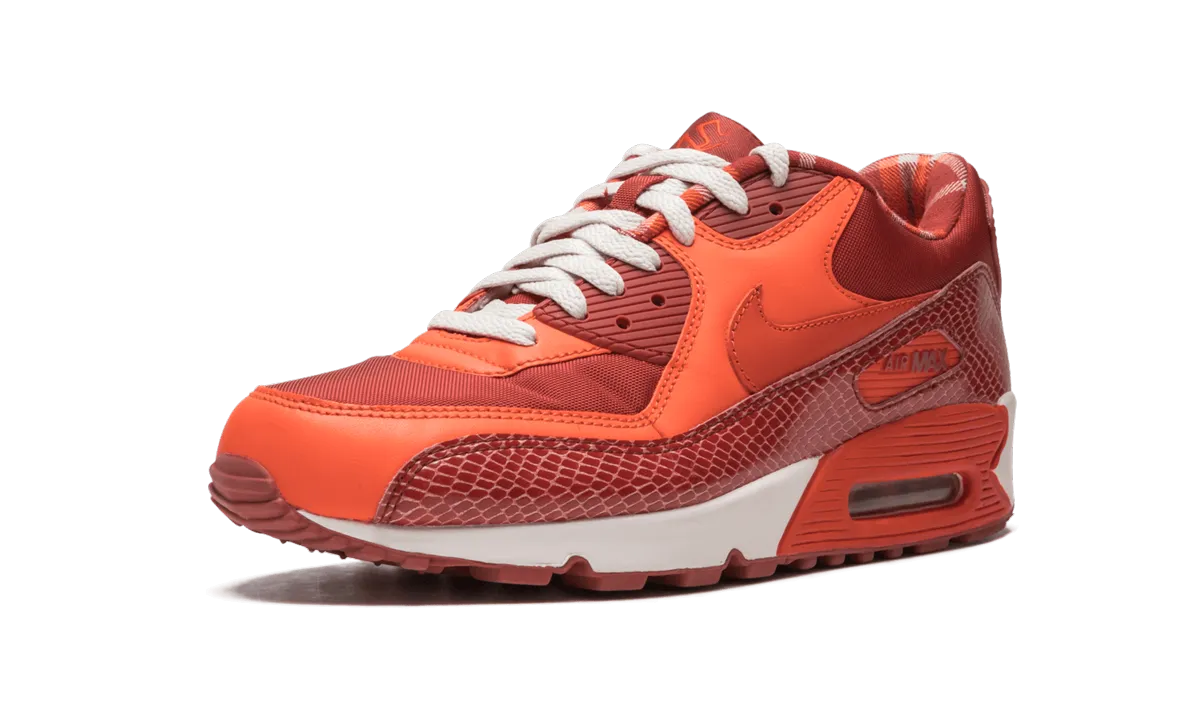 Nike Jordan Retro Shoes Air Max 90 QK "STEVE NASH"