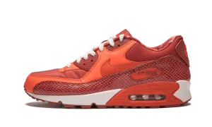 Nike Alonzo Mourning Shoes Air Max 90 QK "STEVE NASH"