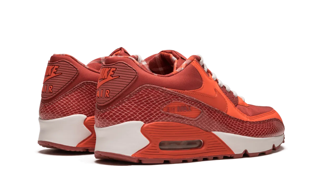Nike Skateboard Shoes Air Max 90 QK "STEVE NASH"