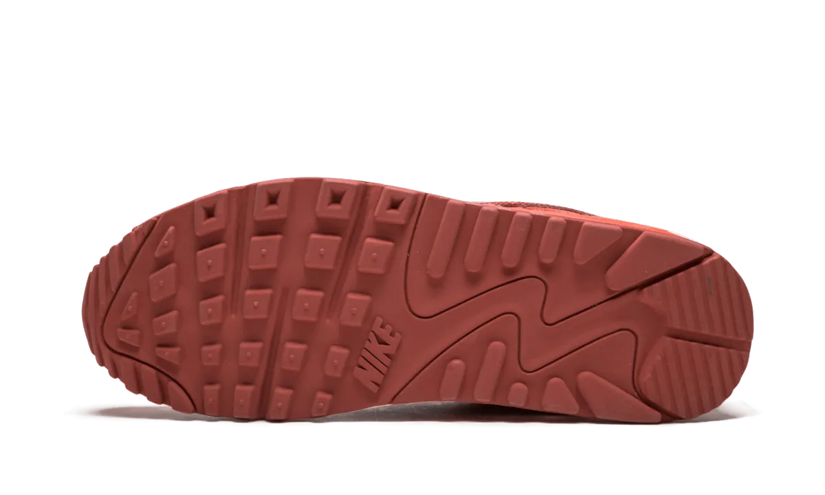 Air Max 90 QK "STEVE NASH" Giannis Nike Shoe