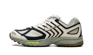 Air Pegasus 2K5 "Olive Aura" Nike Acg Gtx Shoes