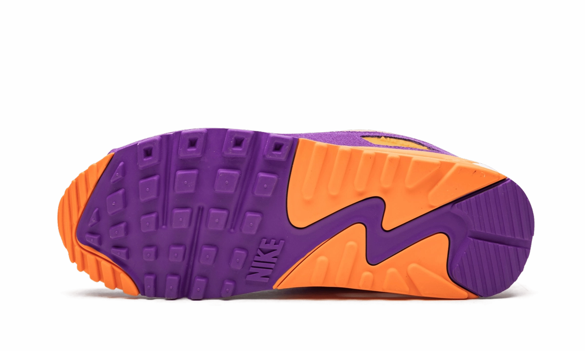 Air Max 90 "Viotech" Nike Shoes Dunk Sb