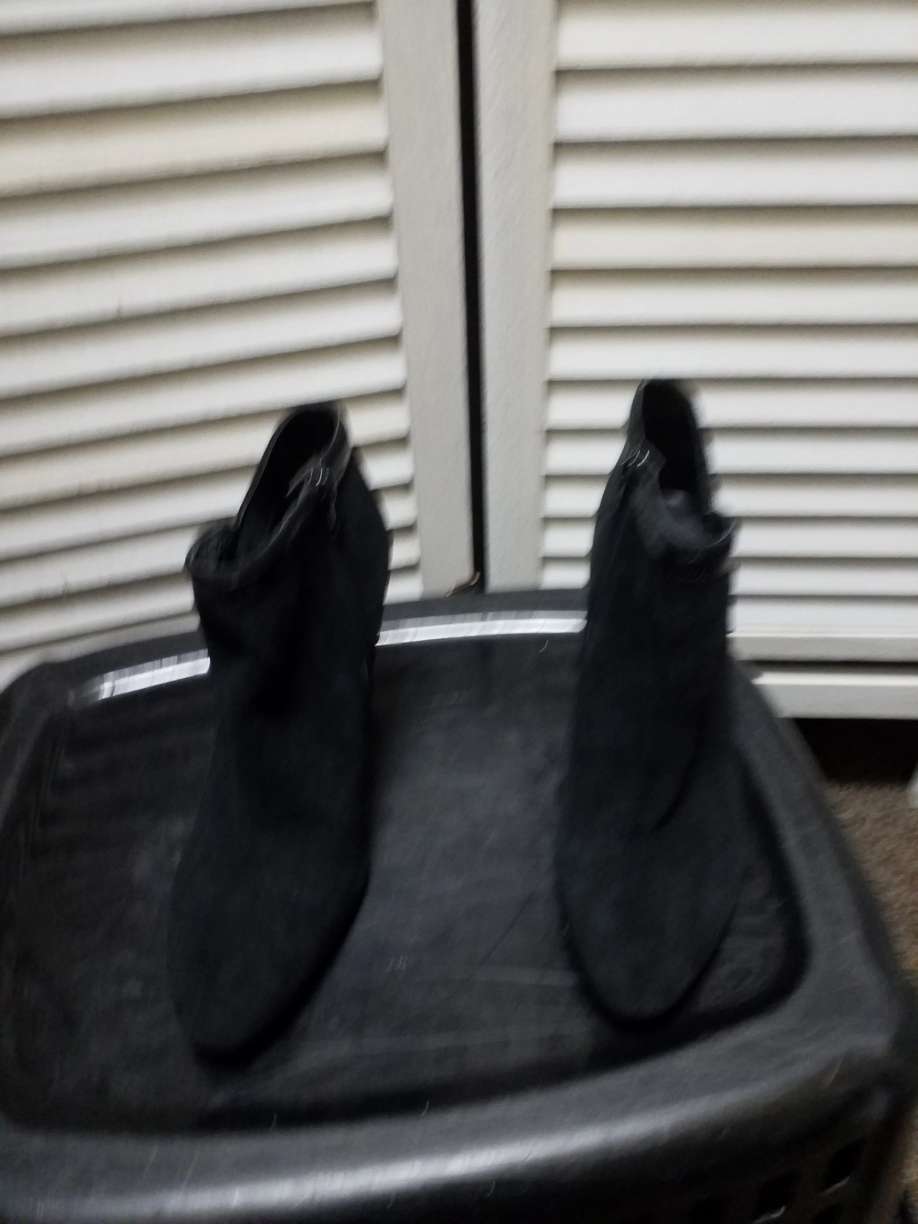 Boots Ankle Heels By Nine West  Size: 9 Vince Camuto Knee High Boots