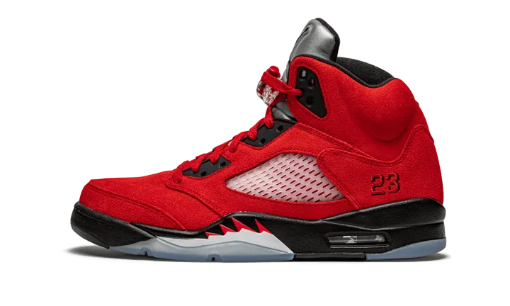 Air Jordan 5 Retro Raging Bull Air Max Dn Sneakers