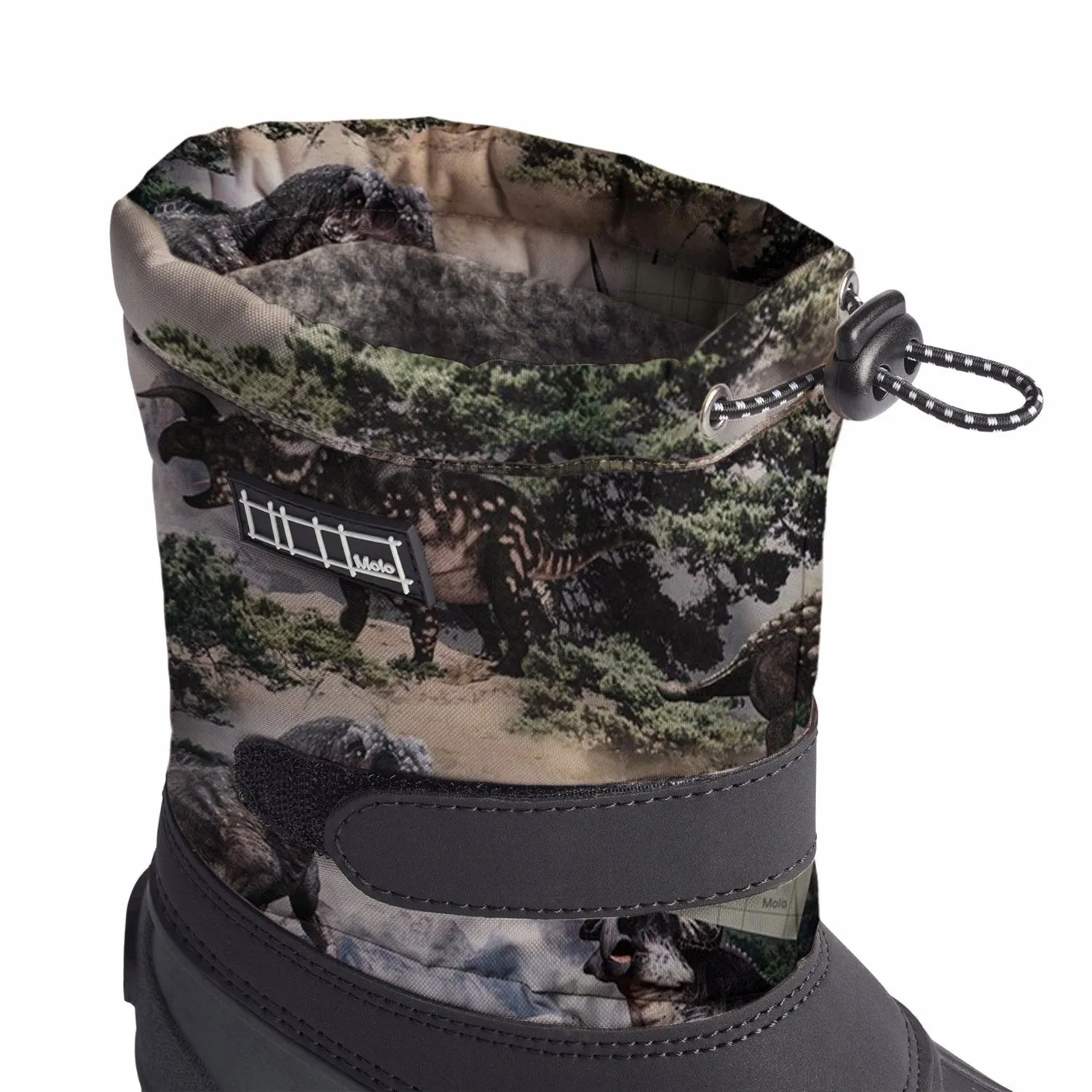 Earth Origins Boots Molo Rocky Dino Driven Boots