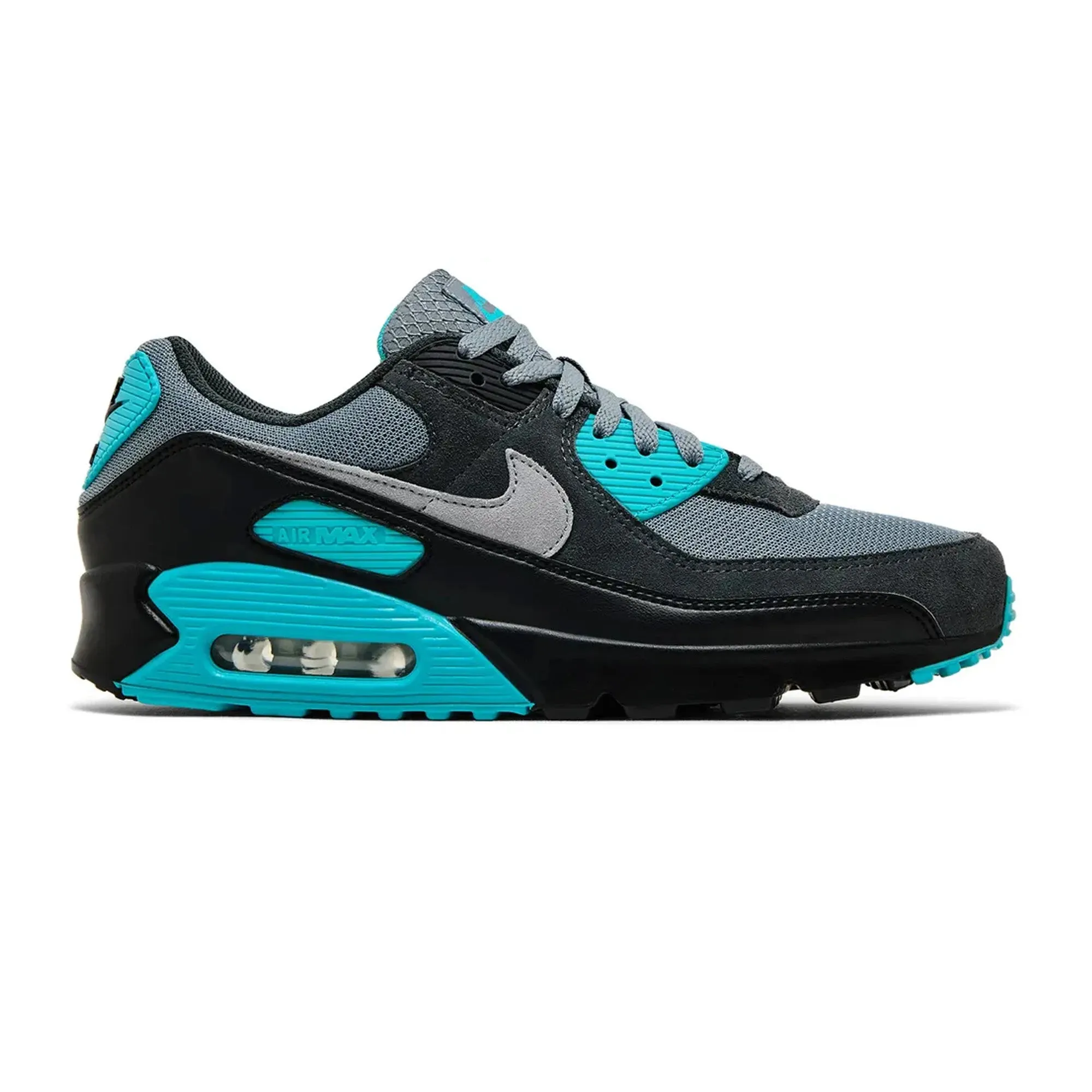 Nike Shoe Tag Nike Air Max 90 'Cool Grey Dusty Cactus Black Wolf Grey' (2025)