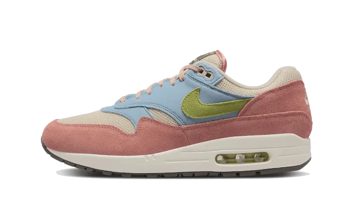 Nike Air Max 1 Light Madder Root Nike Back To The Future Shoes Price
