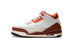 Silver Sneakers Exercises Air Jordan 3 GS "Dunk On Mars"