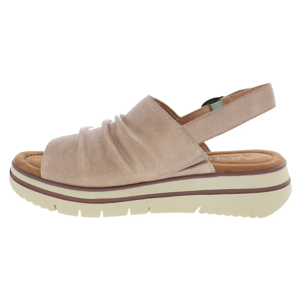 Dad Sandals 2024 SALVIA ALICE