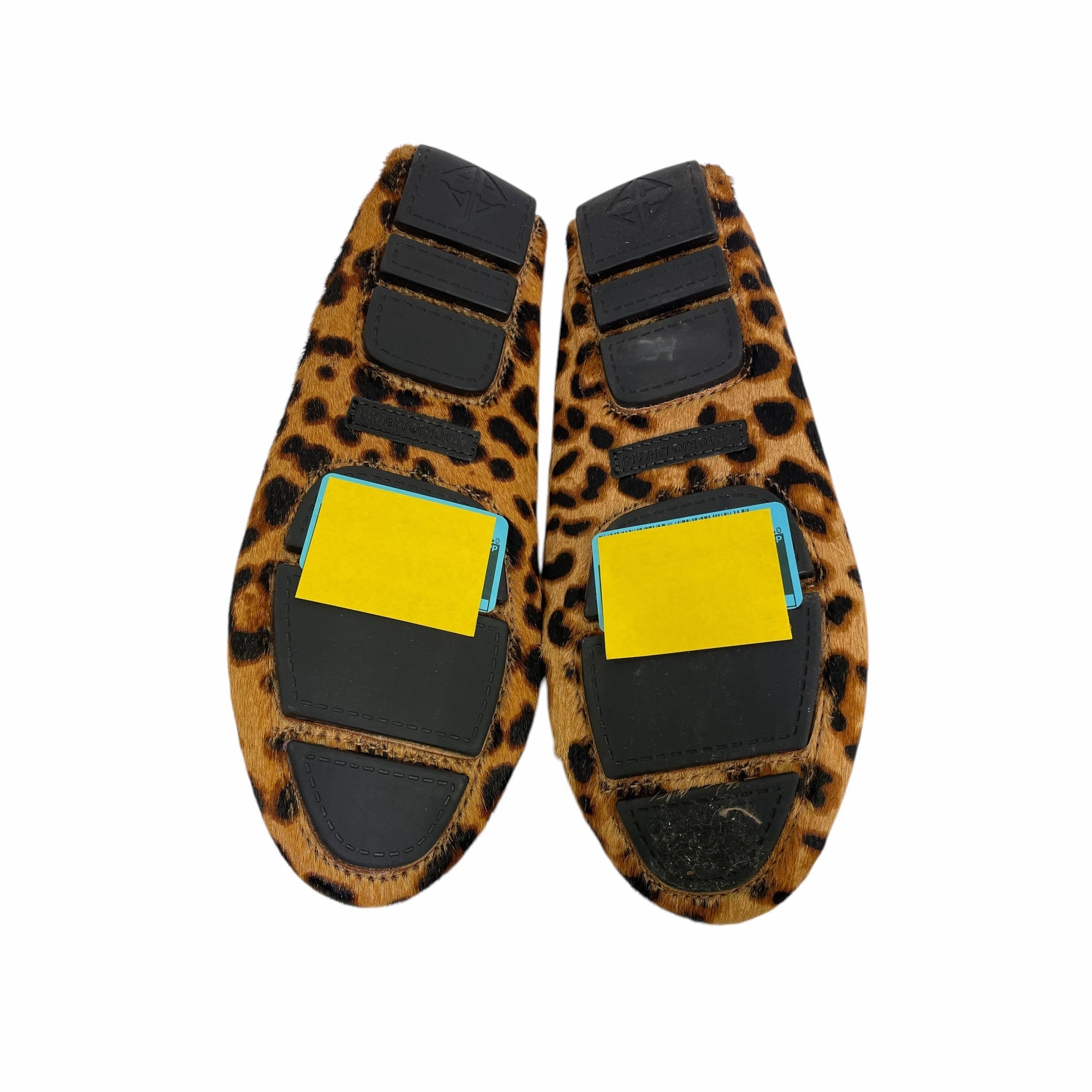 Flat Pedal Mountain Bike Shoes Shoes Flats By Antonio Melani In Animal Print, Size:6.5