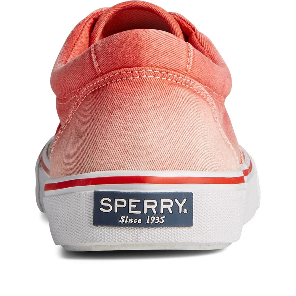 Good Casual Walking Shoes Sperry Striper II CVO Ombre Lace Shoes