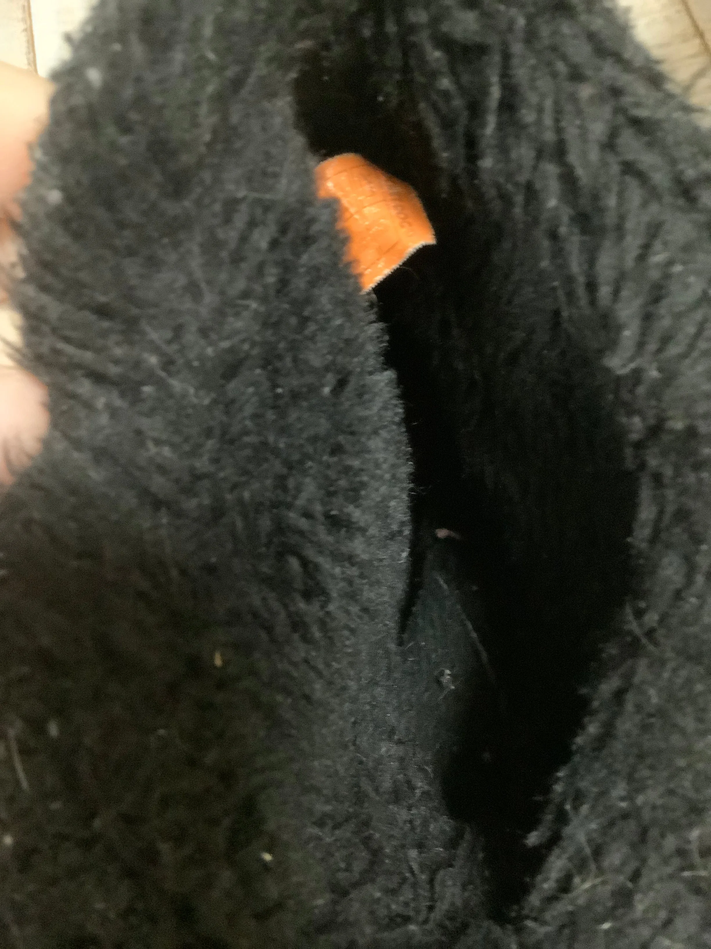 Boots Ankle Flats By Rocket Dogs  Size: 7.5 Morgans Boots