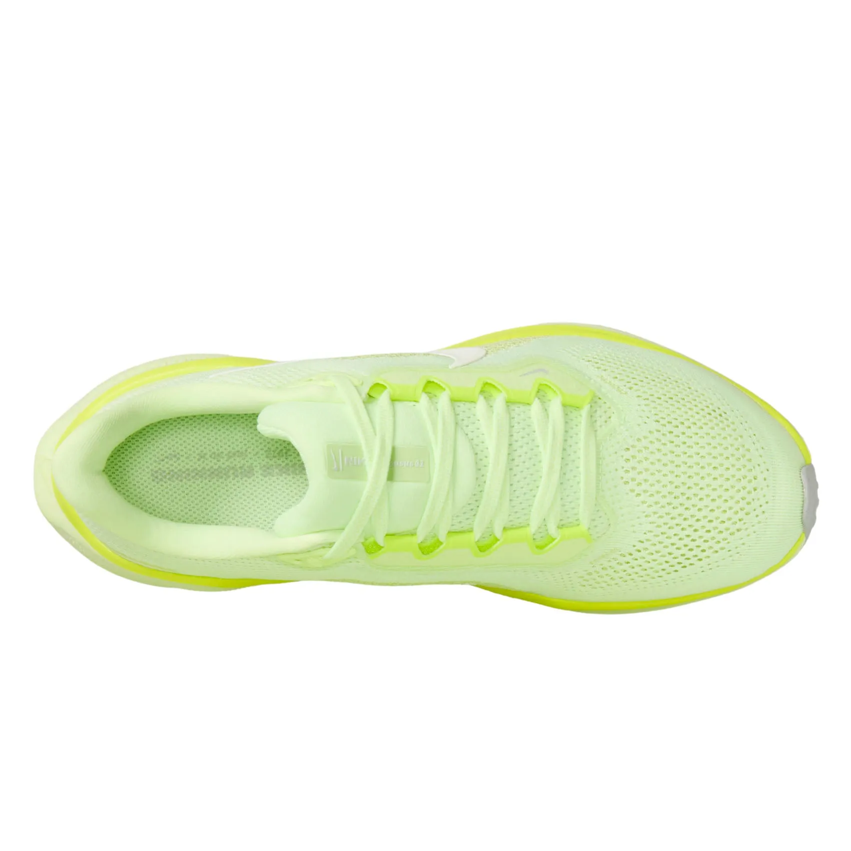 Womens Nike Pegasus 41 Nike Daily Wear Shoes